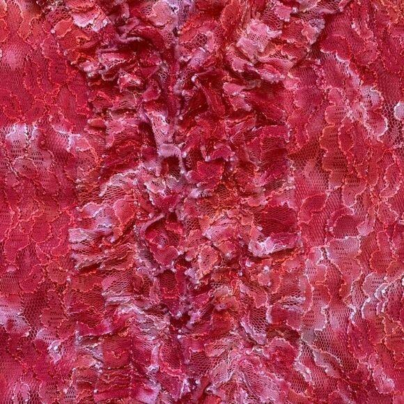 Vintage Sheer Blouse Sleeveless Ruffled Plunge Neck  Nylon Red Floral Lace Top - Picture 8 of 8